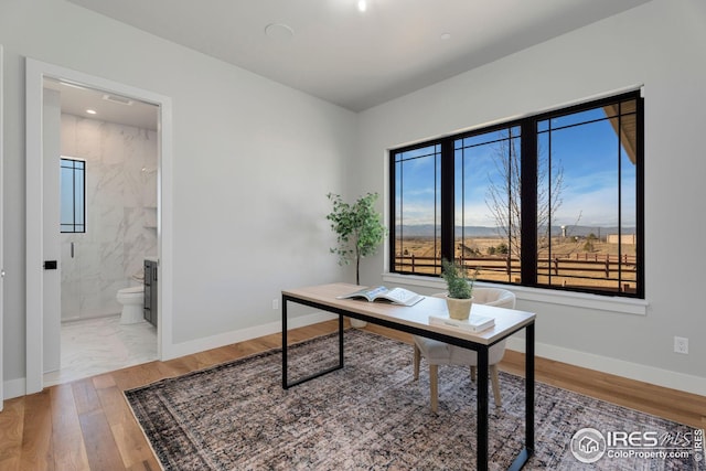 office with baseboards and wood finished floors