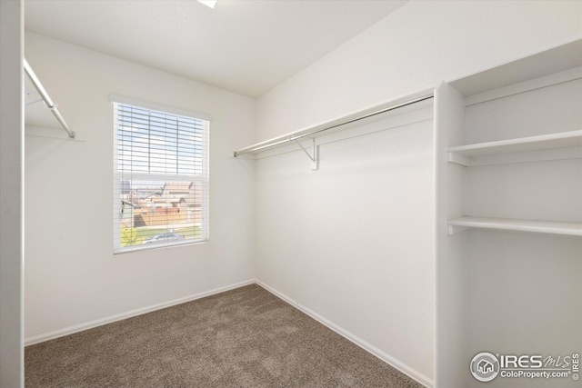 spacious closet with carpet flooring