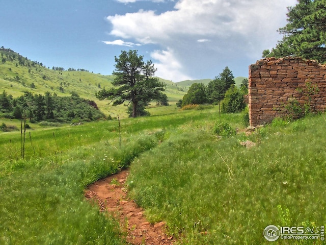 view of yard featuring a mountain view and a rural view