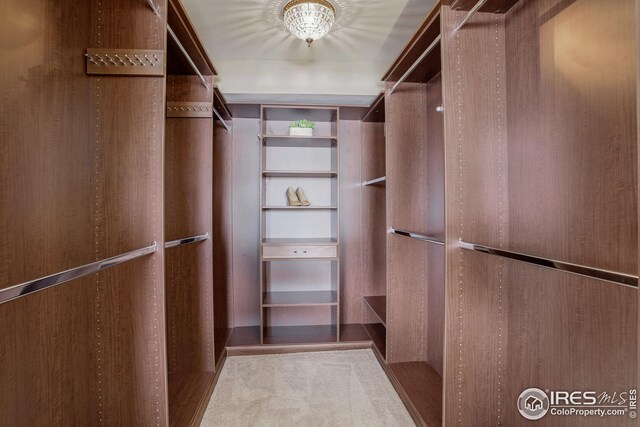 view of walk in closet