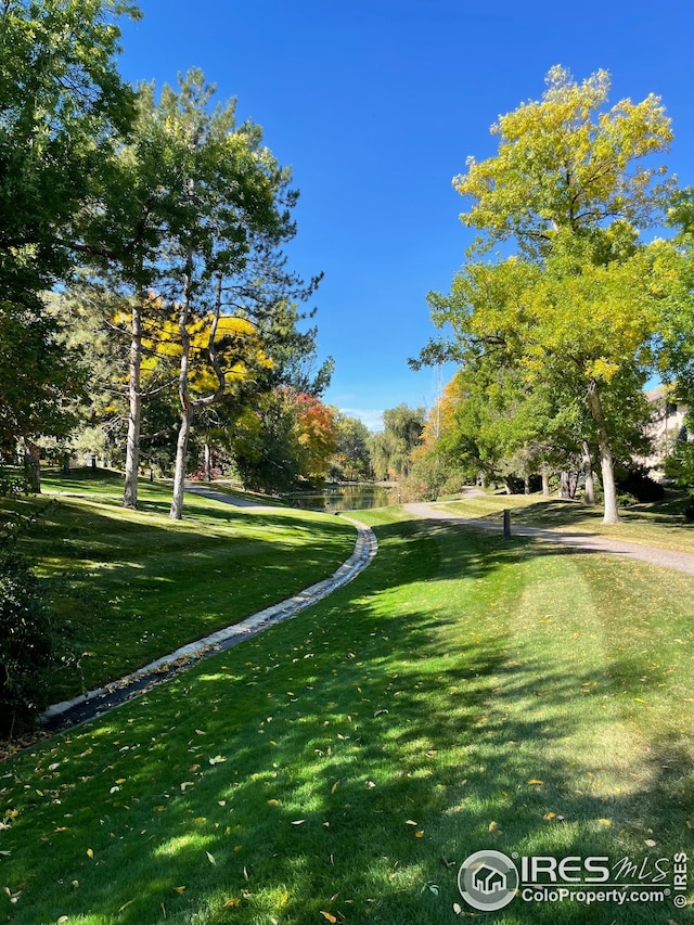 view of property's community featuring a yard