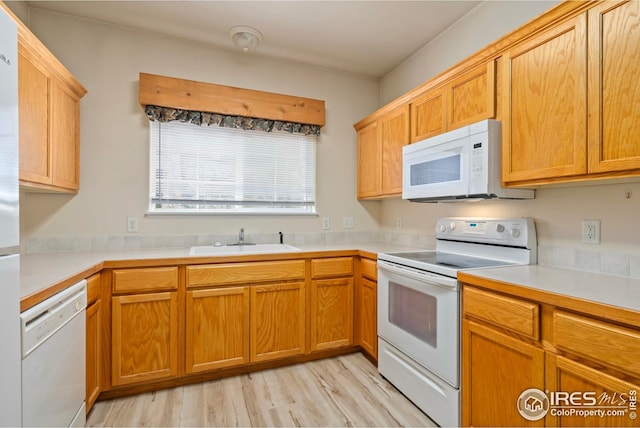kitchen with sink, white appliances, and light hardwood / wood-style flooring