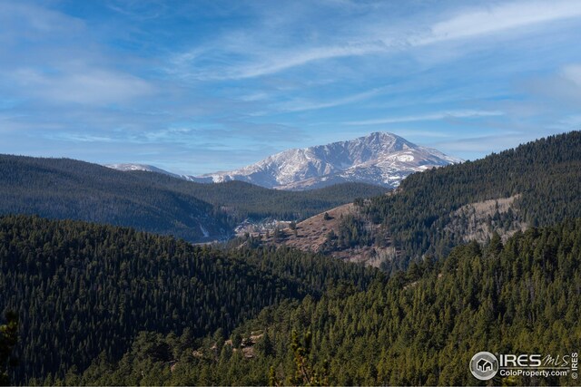 5 Ridge View Rd, Nederland, CO 80466
