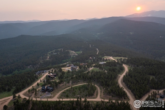 5 Ridge View Rd, Nederland, CO 80466