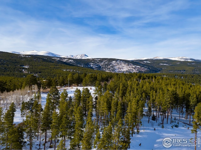 5 Ridge View Rd, Nederland, CO 80466