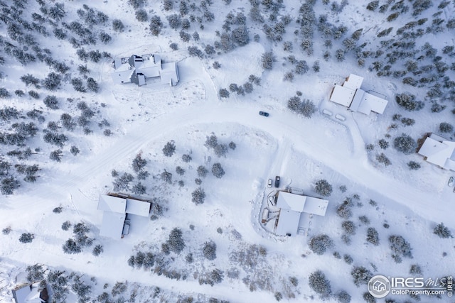 5 Ridge View Rd, Nederland, CO 80466