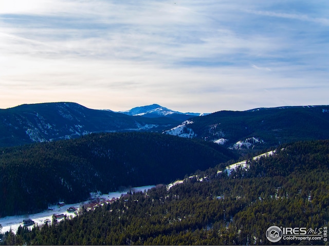 5 Ridge View Rd, Nederland, CO 80466