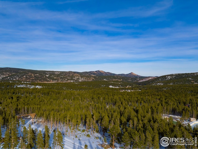 5 Ridge View Rd, Nederland, CO 80466