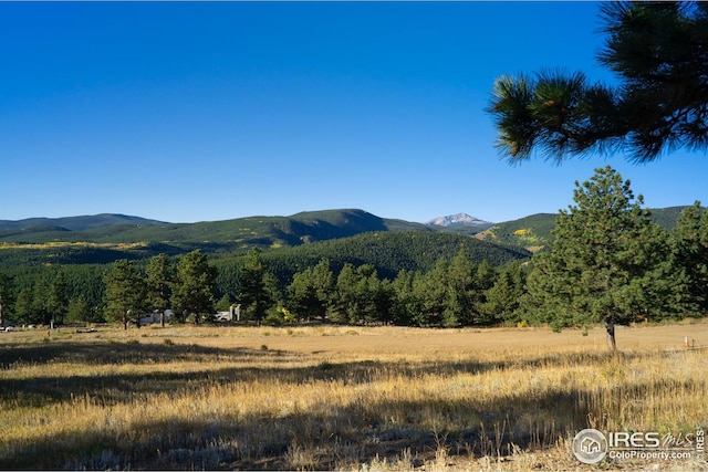5 Ridge View Rd, Nederland, CO 80466