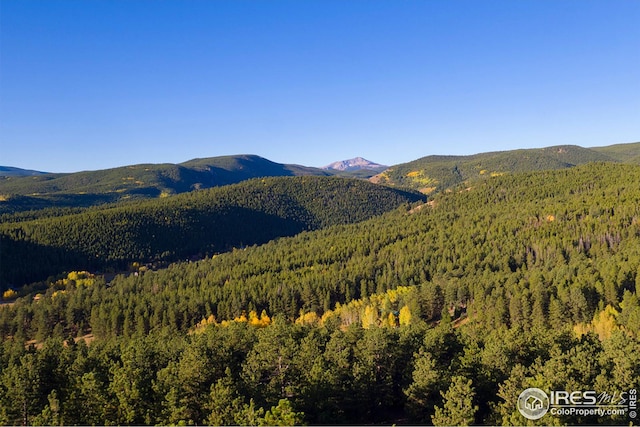5 Ridge View Rd, Nederland, CO 80466