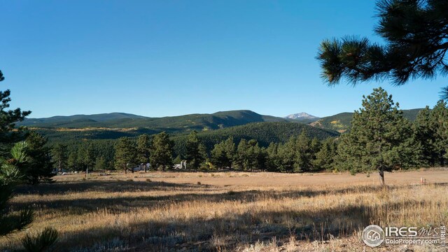 5 Ridge View Rd, Nederland, CO 80466