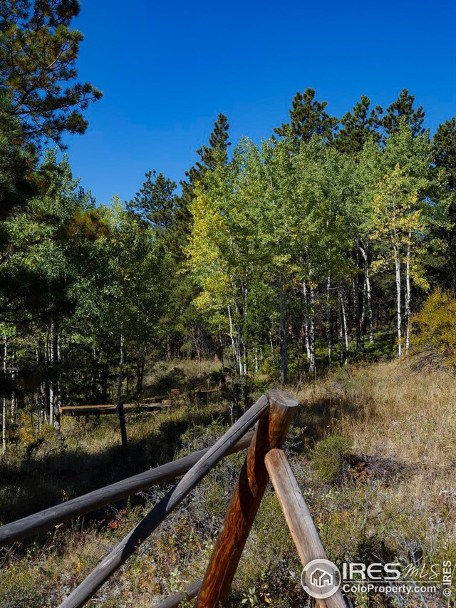5 Ridge View Rd, Nederland, CO 80466
