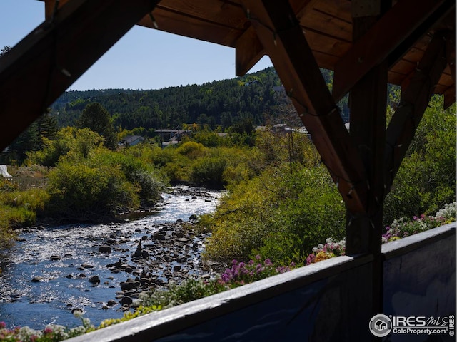 5 Ridge View Rd, Nederland, CO 80466