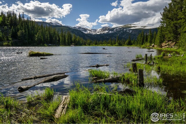 5 Ridge View Rd, Nederland, CO 80466