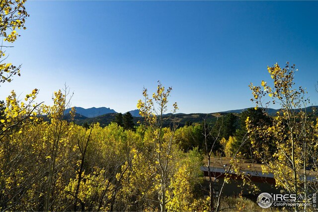 5 Ridge View Rd, Nederland, CO 80466