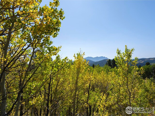 5 Ridge View Rd, Nederland, CO 80466