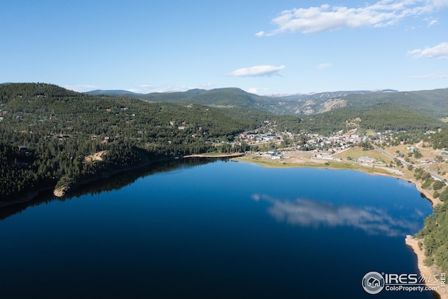 5 Ridge View Rd, Nederland, CO 80466