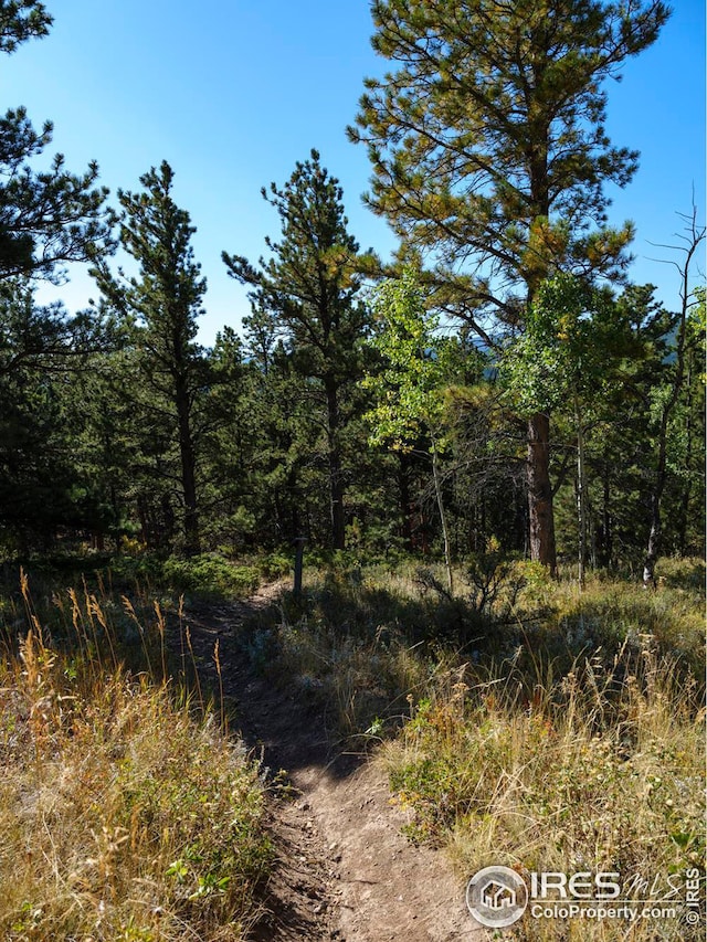5 Ridge View Rd, Nederland, CO 80466