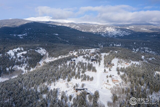 5 Ridge View Rd, Nederland, CO 80466