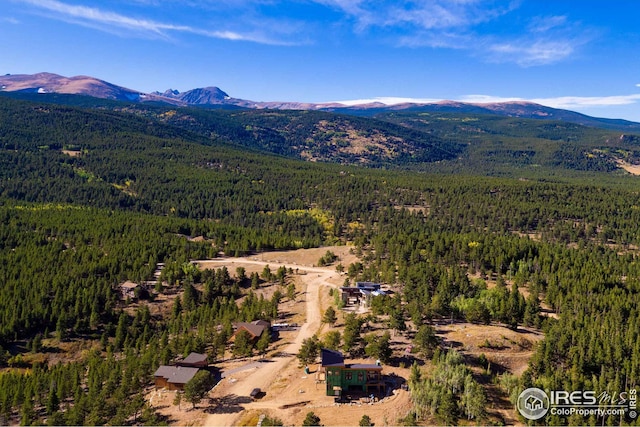 5 Ridge View Rd, Nederland, CO 80466