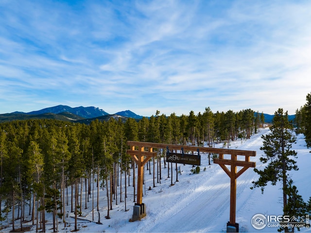21 Juneau Cir, Nederland, CO 80466
