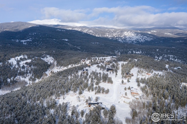 21 Juneau Cir, Nederland, CO 80466