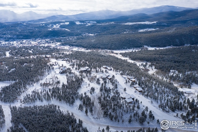 21 Juneau Cir, Nederland, CO 80466