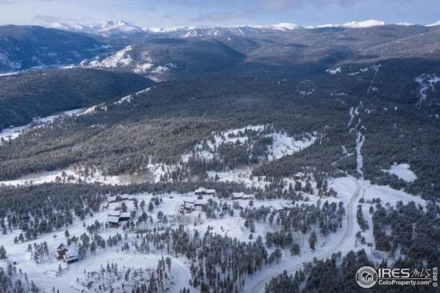 21 Juneau Cir, Nederland, CO 80466