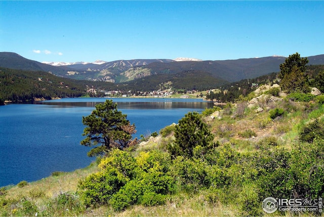 17 Juneau Cir, Nederland, CO 80466
