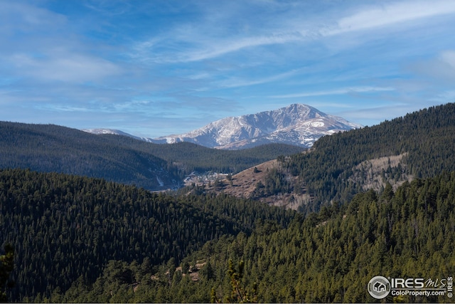 17 Juneau Cir, Nederland, CO 80466