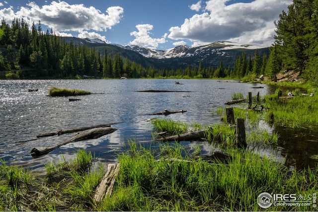 17 Juneau Cir, Nederland, CO 80466