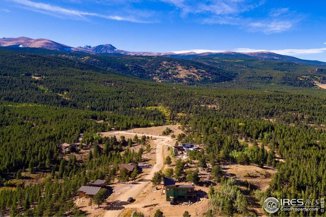 17 Juneau Cir, Nederland, CO 80466
