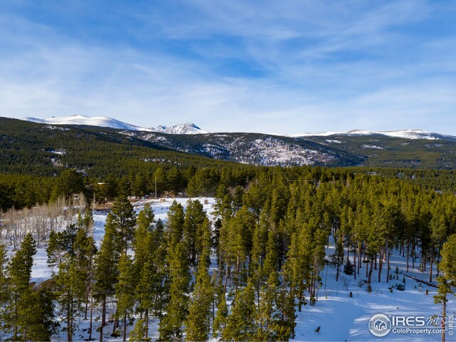 17 Juneau Cir, Nederland, CO 80466