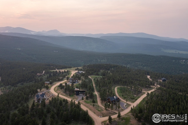 17 Juneau Cir, Nederland, CO 80466