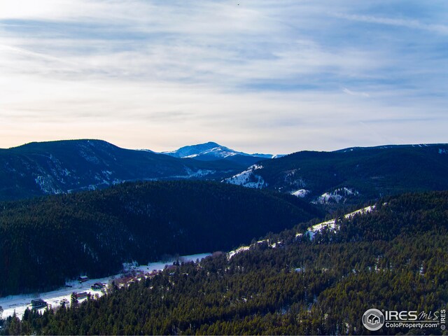 25 Ridge View Rd, Nederland, CO 80466