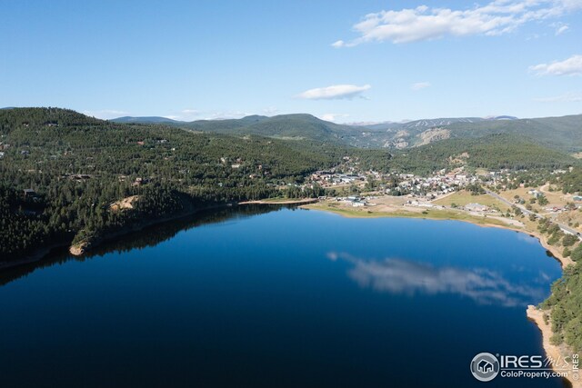 25 Ridge View Rd, Nederland, CO 80466