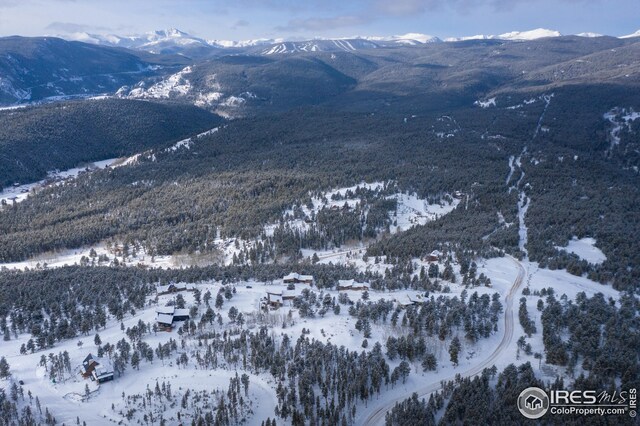 25 Ridge View Rd, Nederland, CO 80466