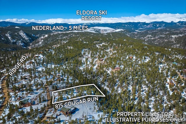 815 Cougar Run, Nederland CO, 80466 land for sale