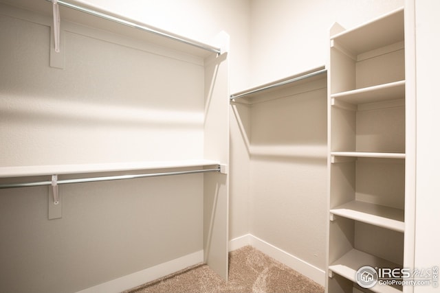 walk in closet featuring carpet