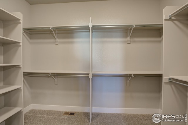 walk in closet featuring carpet flooring