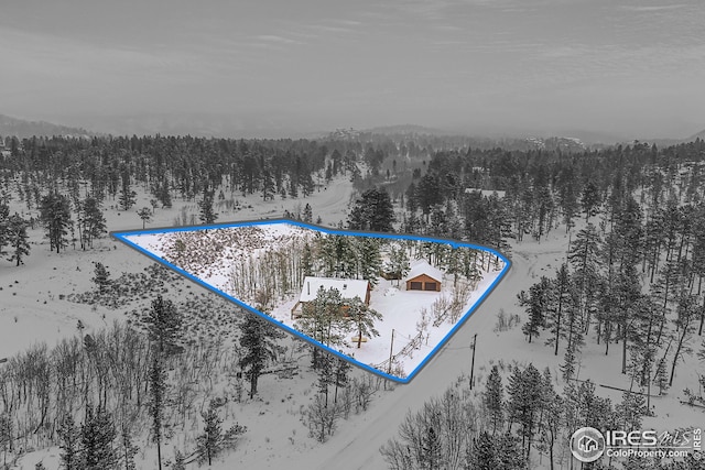 snowy aerial view featuring property boundaries highlighted and a wooded view