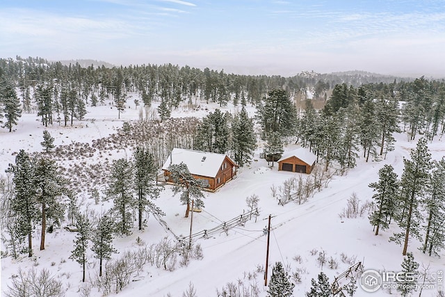 view of snowy aerial view