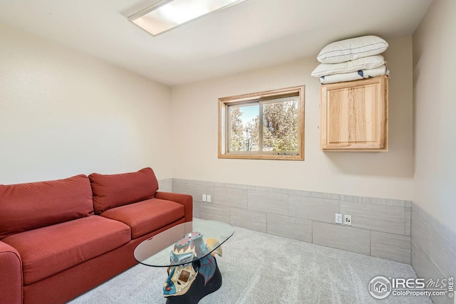 view of carpeted living area