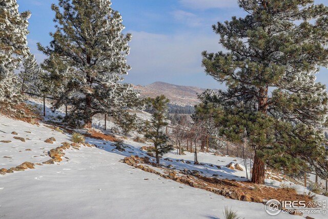 8400 Middle Fork Rd, Boulder, CO 80302 - mountain view