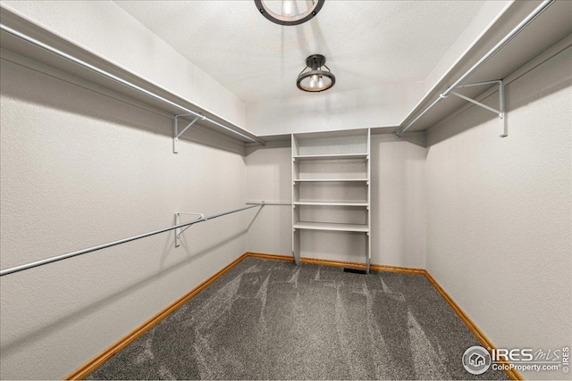 11837 County Road 39, Fort Lupton, CO 80621 - spacious closet featuring carpet floors
