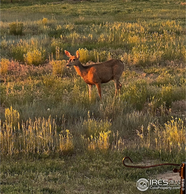 11837 County Road 39, Fort Lupton, CO 80621 - exterior view