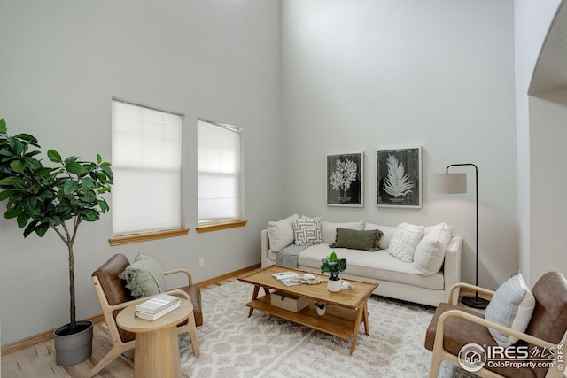 living area with wood finished floors, a towering ceiling, and baseboards