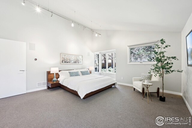 503 Kalmia Ave, Boulder, CO 80304 - bedroom featuring visible vents, carpet flooring, track lighting, high vaulted ceiling, and baseboards