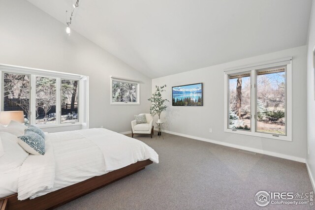 503 Kalmia Ave, Boulder, CO 80304 - bedroom featuring high vaulted ceiling, carpet flooring, and baseboards