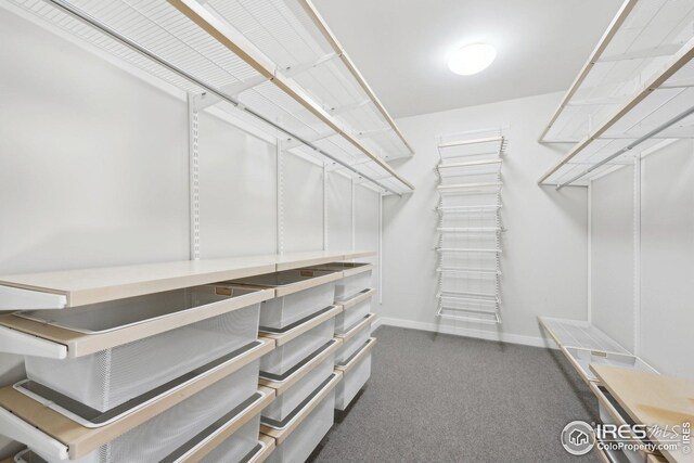 503 Kalmia Ave, Boulder, CO 80304 - view of spacious closet